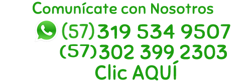 Whatsapp 57 319 534 9507